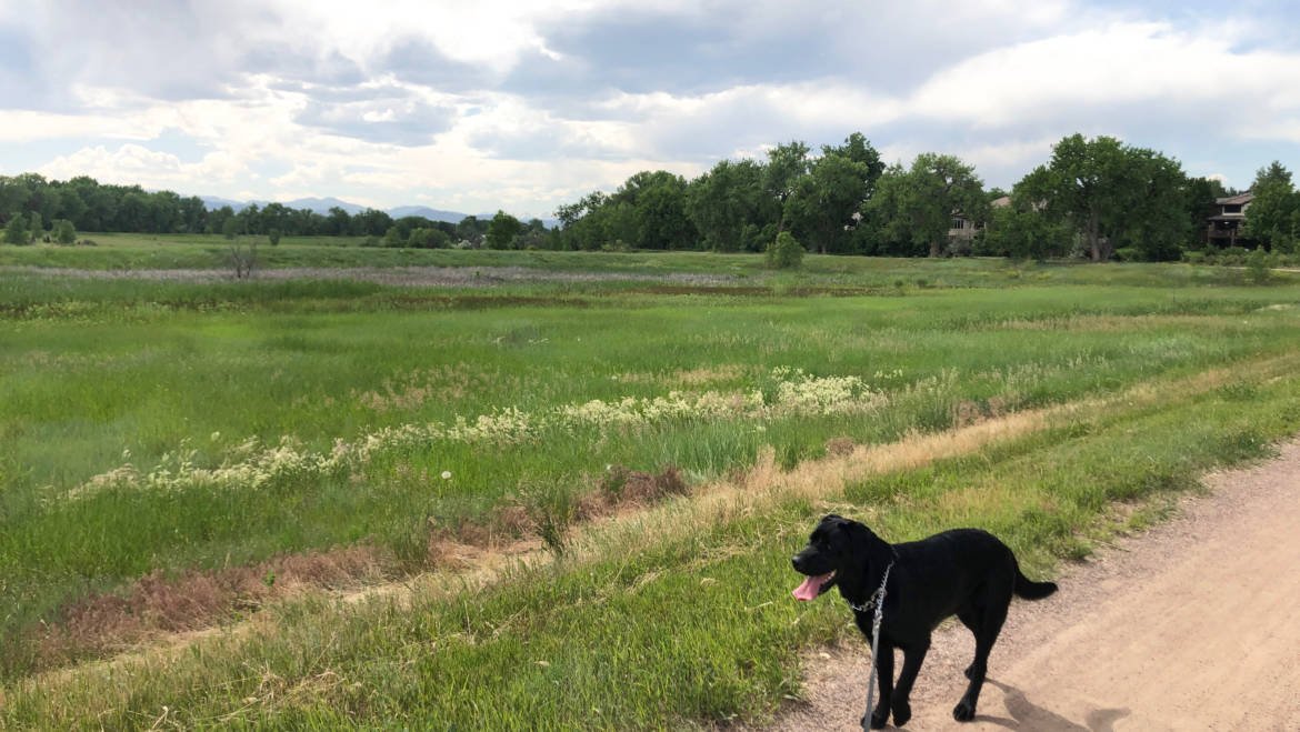 5 Hidden Benefits to Making Time to Get Outside!